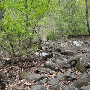 Meet your Posher, Roswell